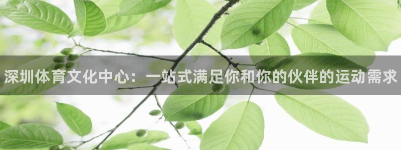 千亿国际官方正版app娱乐代理怎么样：深圳体育文化中心：一站