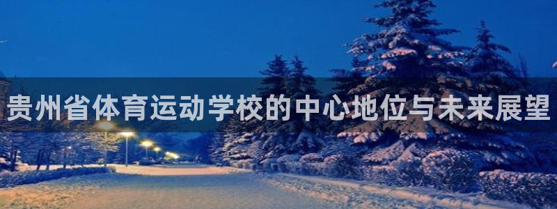 千亿国际官方正版app集团E.ON：贵州省体育运动学校的中心