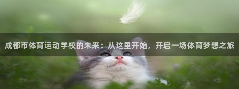 千亿国际官网下载招商电话号码：成都市体育运动学校的未来：从这