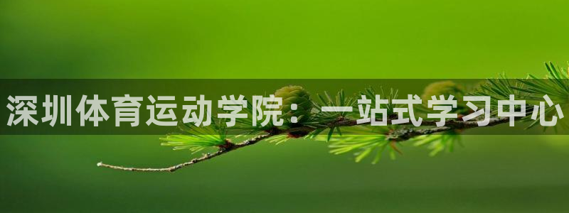 千亿国际官方正版app五金厂：深圳体育运动学院：一站式学习中