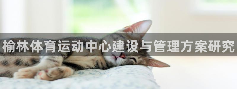 千亿国际官网下载招商电话号码：榆林体育运动中心建设与管理方案