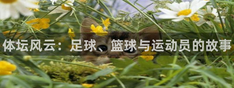 千亿国际官网下载招商电话号码查询