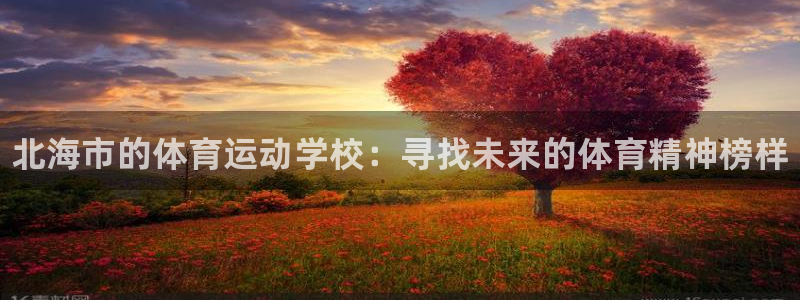 千亿国际官方正版app娱乐首页官网下载：北海市的体育运动学校