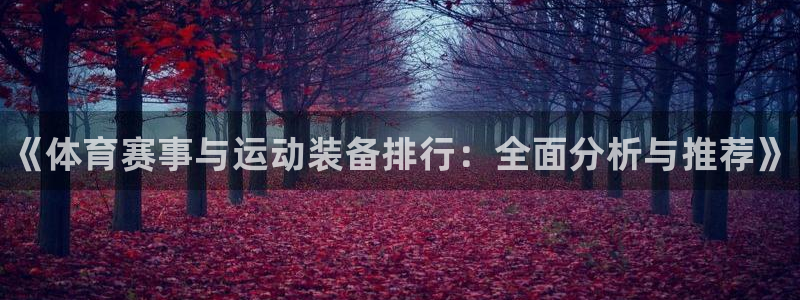 千亿国际官方正版app代理：《体育赛事与运动装备排行