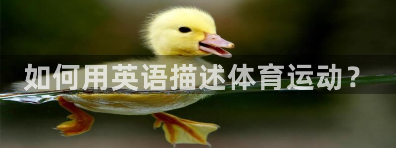 德国千亿国际官方正版app集团：如何用英语描述体育运动？