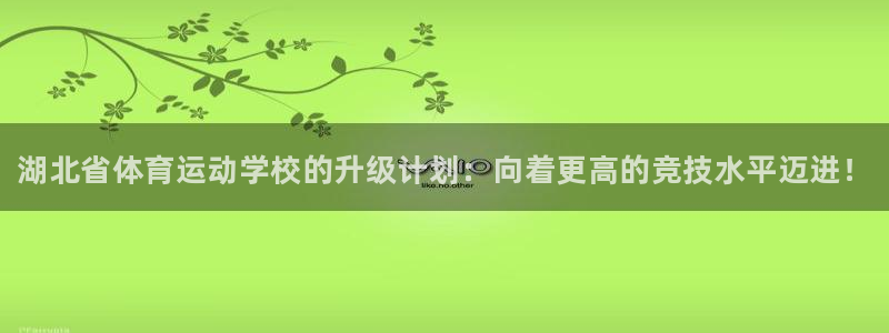 千亿国际官网下载招商电话：湖北省体育运动学校的升级计