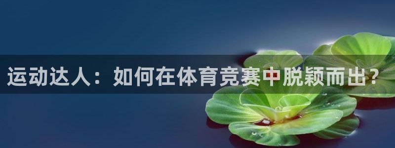 海南千亿国际官网下载发展怎么样：运动达人：如何在体育