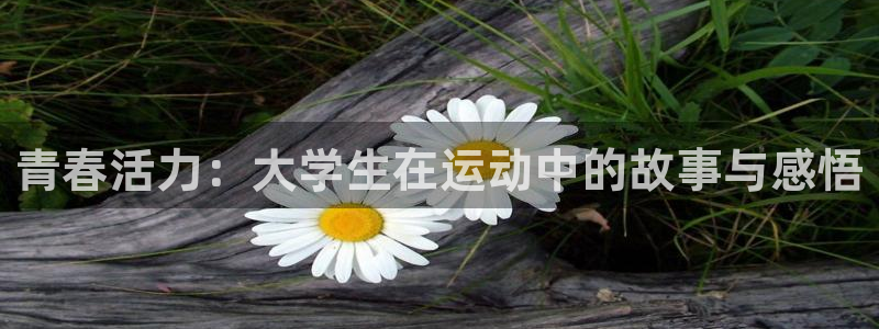 千亿国际官方正版app神州：青春活力：大学生在运动中的故事与