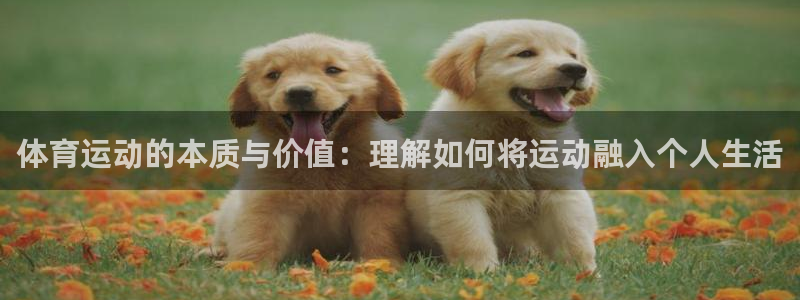 千亿国际官网下载娱乐：体育运动的本质与价值：理解如何将运动融