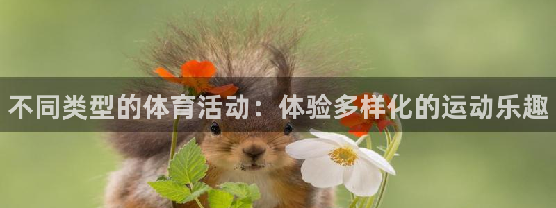 千亿国际官方正版app娱乐首页网站大全：不同类型的体