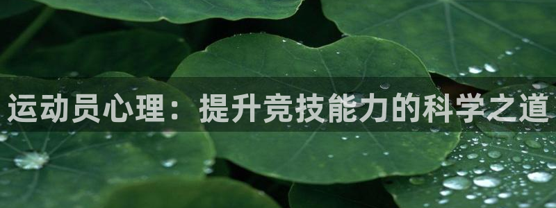 千亿国际官方平台体育：运动员心理：提升竞技能力的科学之道