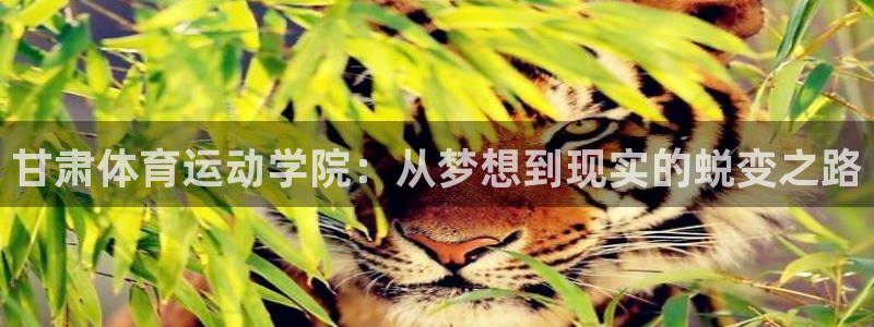 千亿国际官网下载开户：甘肃体育运动学院：从梦想到现实的蜕变之