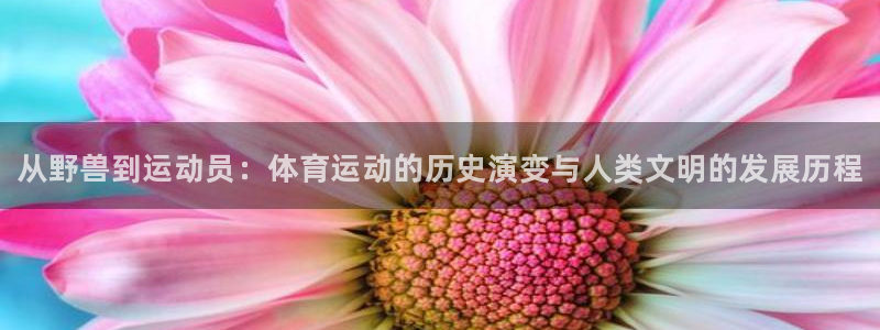 千亿国际官网下载平台假的吗是真的吗：从野兽到运动员：