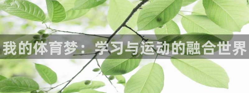 千亿国际官网下载平台注册要钱吗是真的吗：我的体育梦：