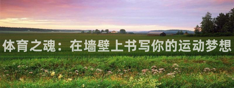 千亿国际官网下载注册：体育之魂：在墙壁上书写你的运动梦想