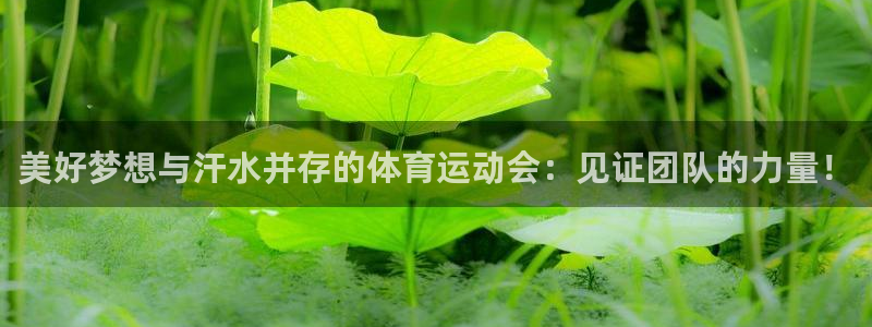 千亿国际官方正版app娱乐40996