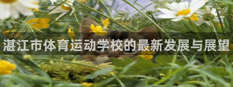 千亿国际官网下载：湛江市体育运动学校的最新发展与展望